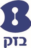 תמונה16